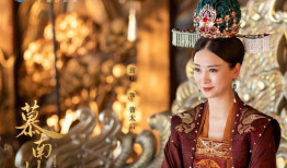 皇后的电视剧,宫廷权谋与爱恨纠葛